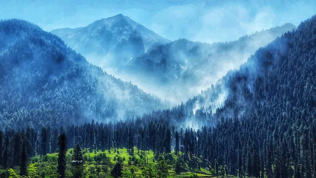 Bitter Anniversary: Jammu and Kashmir's Struggle for Identity Continues
