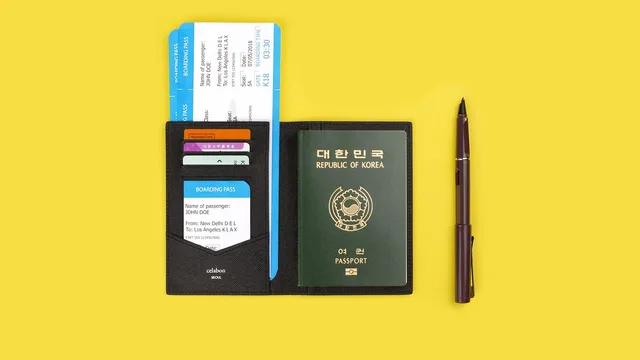 Mumbai Woman's Passport Scandal Sparks National Security Concerns