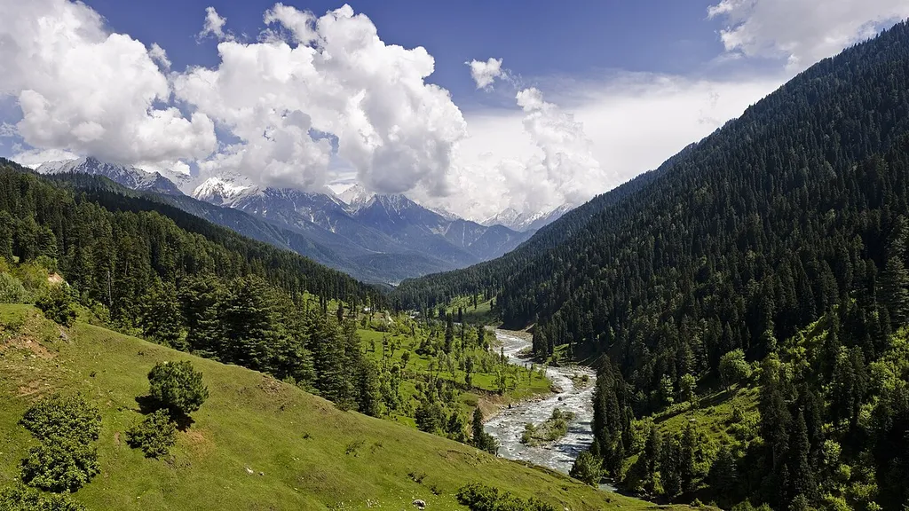Poonch LoC Secured: Army's Swift Action Ensures Safety of Residents